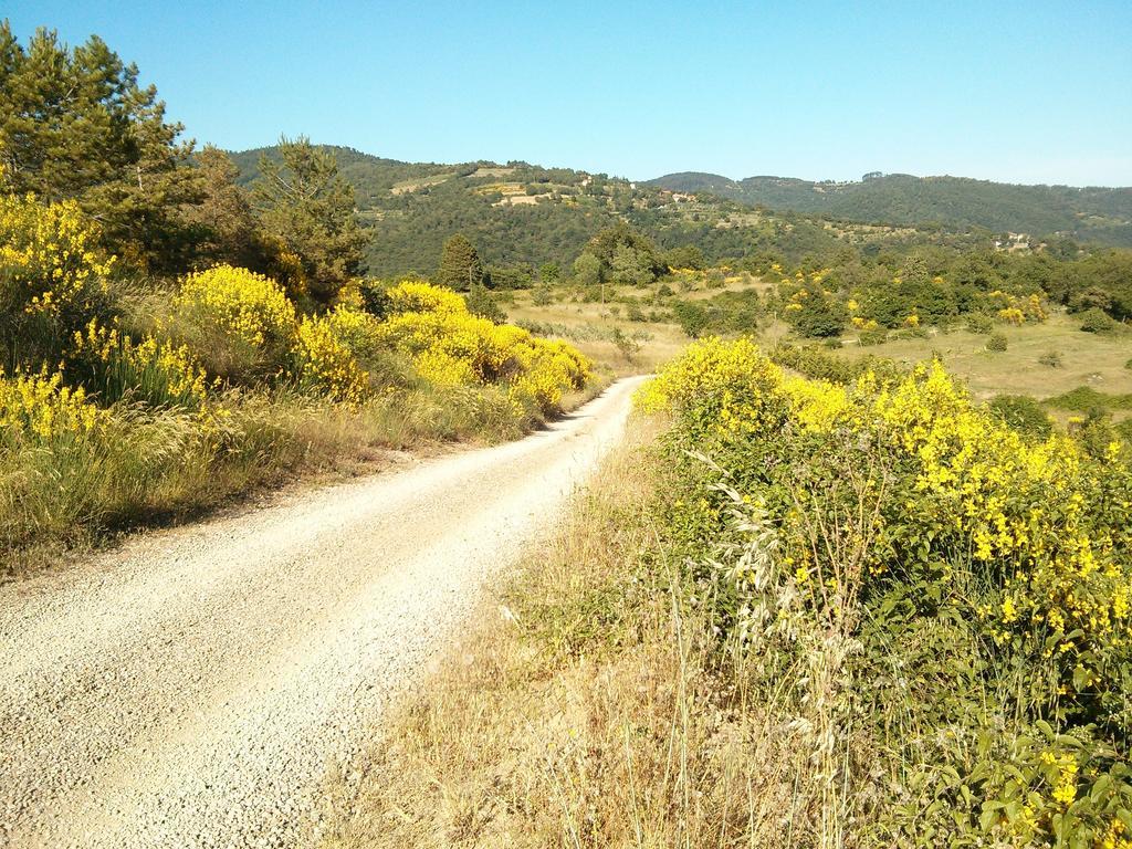 Forte Di Tregognano Chiaveretto Værelse billede